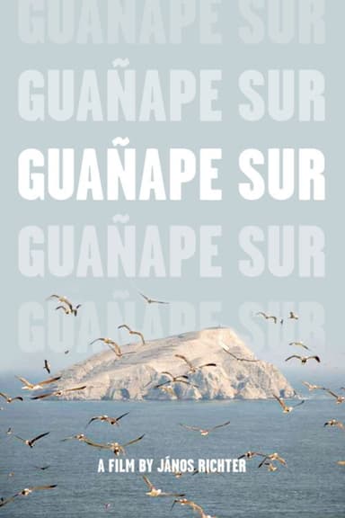 Guañape sur poster