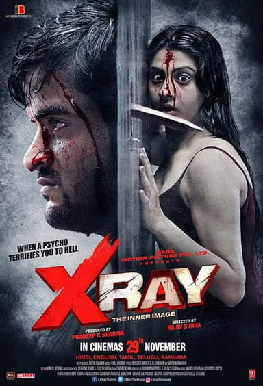 X Ray: The Inner Image poster