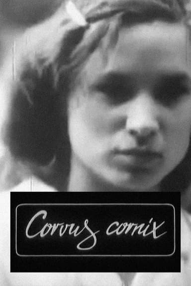 Corvus Cornix - From Latin as Raven poster