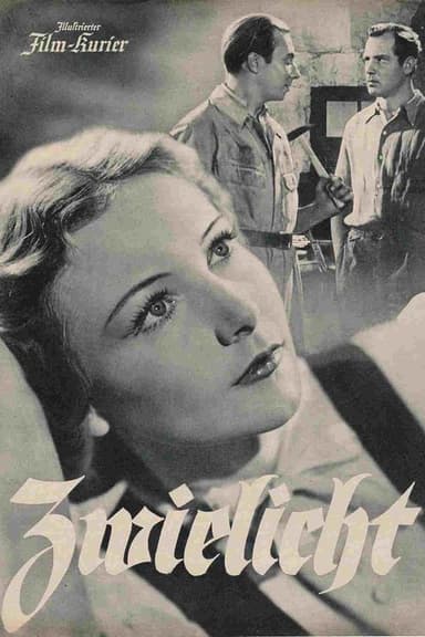 Zwielicht poster