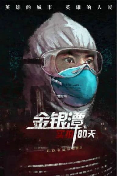 金银潭实拍80天 poster