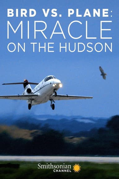 Bird vs. Plane: Miracle on the Hudson poster