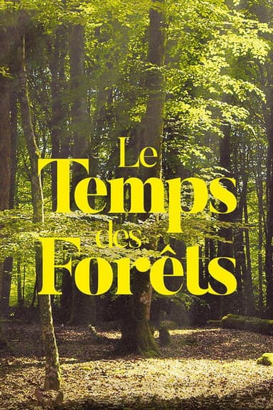 The Time of Forests poster