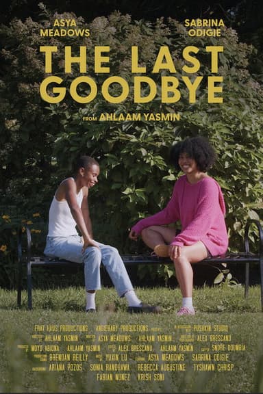 The Last Goodbye poster