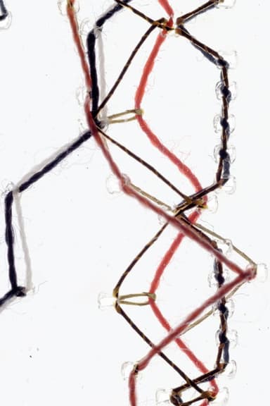 Thread poster