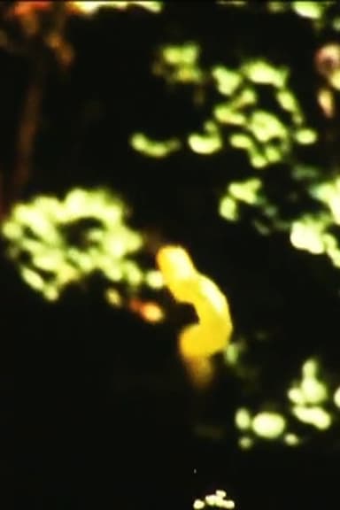 Caterpillar poster