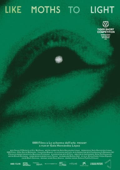 like moths to light poster