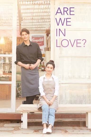 Are We in Love? poster