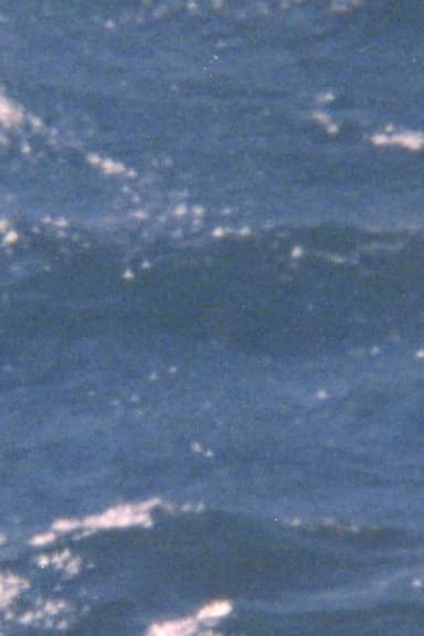 The possibility of being sea poster