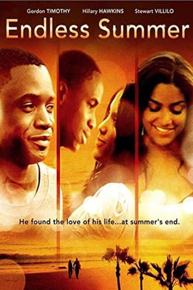 Endless Summer poster