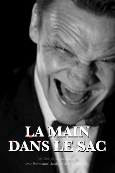 La Main dans le sac poster