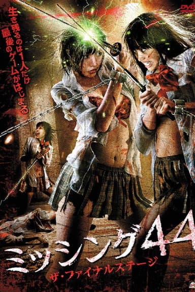 Missing 44 The Final Stage poster