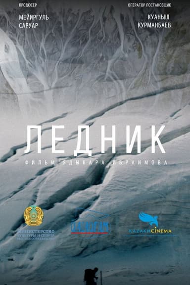 Voice of the glacier poster