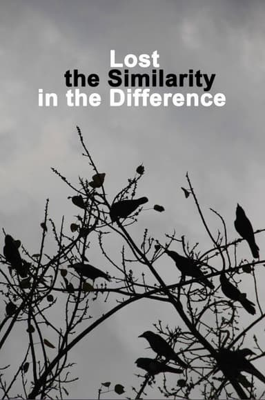 Lost the Similarity in the Difference poster