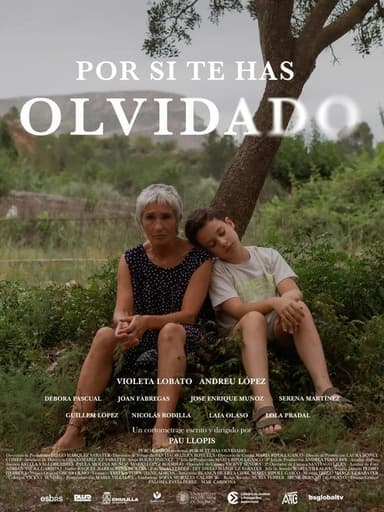 Por si te has olvidado poster