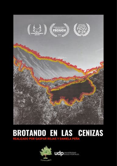 Brotando en las cenizas poster