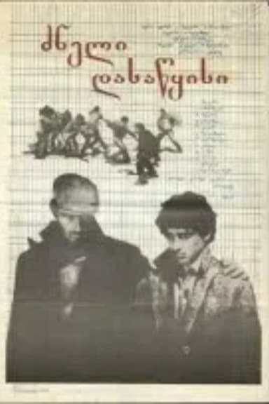 A Difficult Beginning poster
