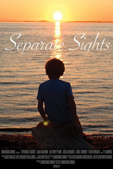 Separate Sights poster