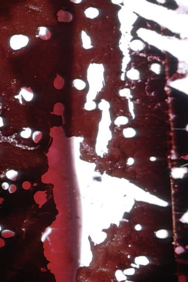 Traces poster