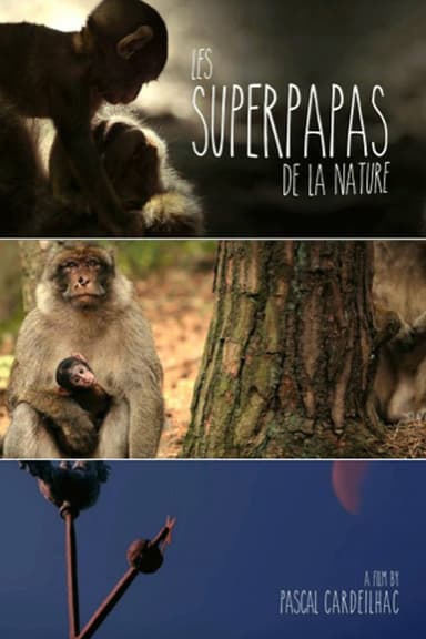 Nature's Superdads poster