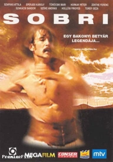 Sobri - Betyárfilm poster