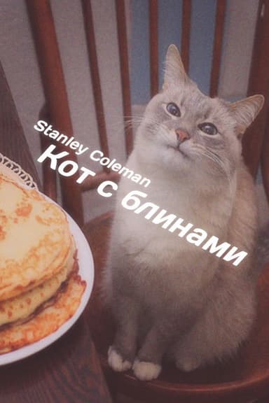 Blin Cat poster