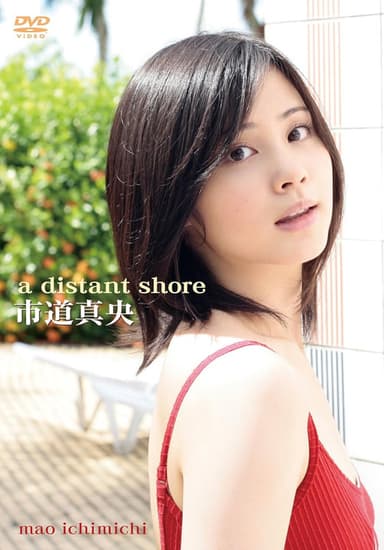 a distant shore poster