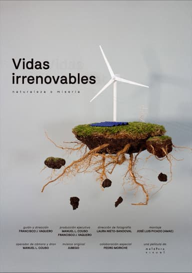 Vidas Irrenovables poster