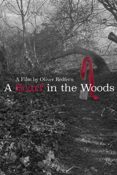 A Scarf In The Woods poster
