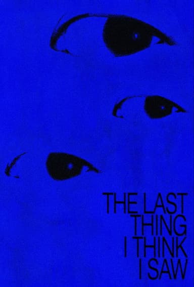 The Last Thing I Think I Saw poster