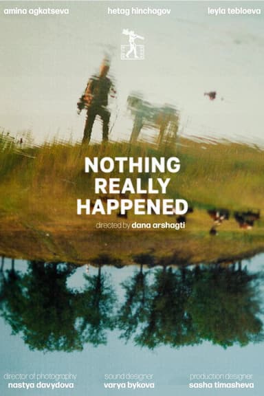 Nothing Really Happened poster