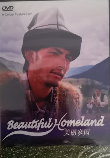 美丽家园 poster