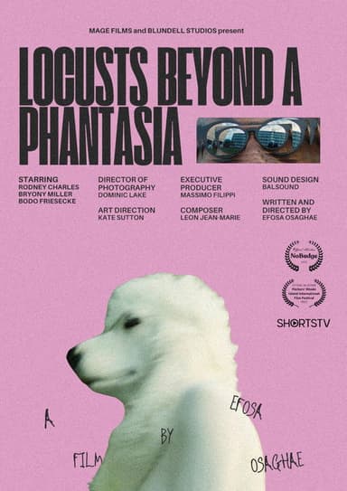 Locusts Beyond a Phantasia poster