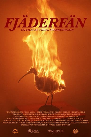 Sorrow Birds poster