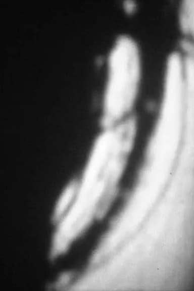 Film digitalia, No. 15 poster