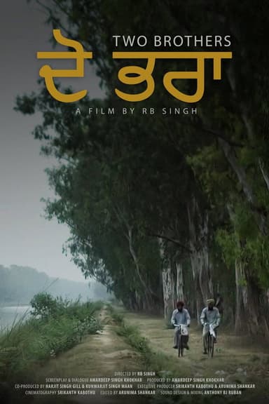 Two Brothers: Dō bharā poster