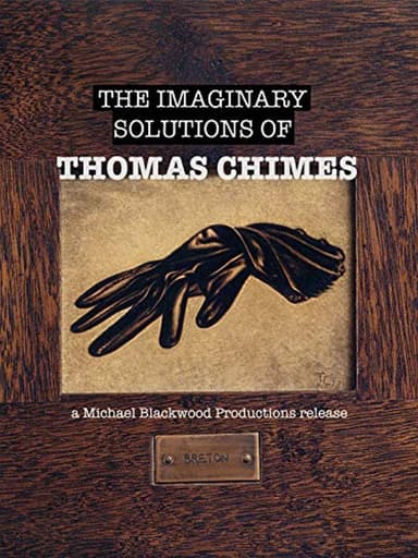 The Imaginary Solutions of Thomas Chimes poster