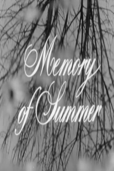 Memory of Summer poster