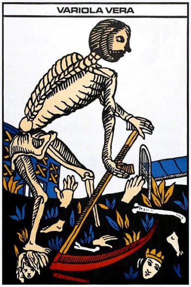 Variola Vera poster