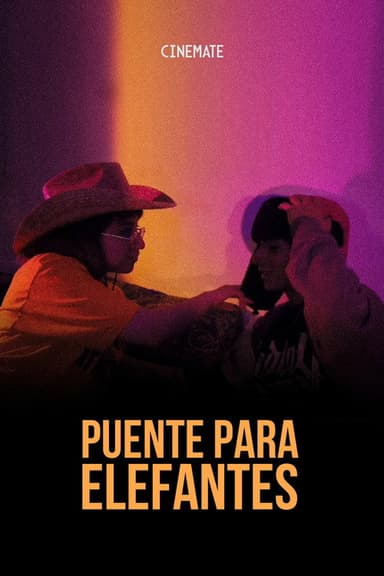 Puente Para Elefantes poster