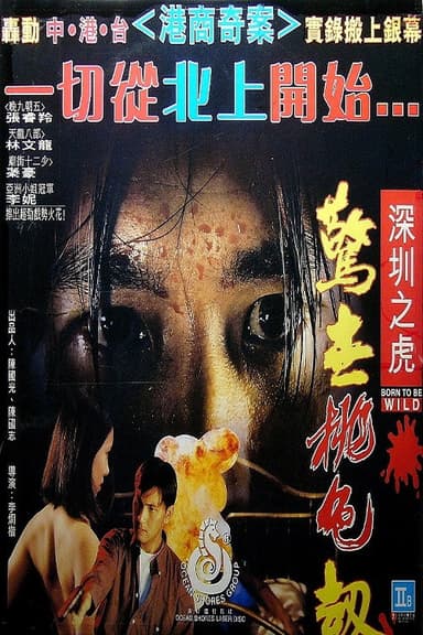Born To Be Wild poster