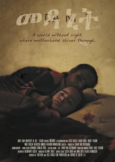 Medanit poster