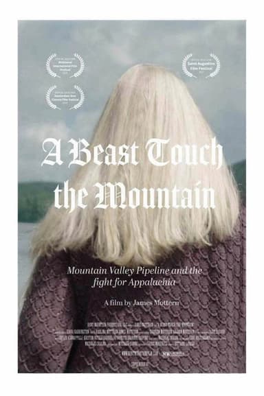 A Beast Touch the Mountain poster