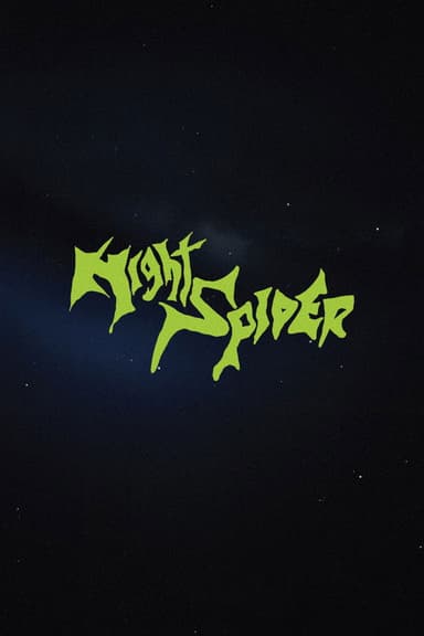 Night Spider poster
