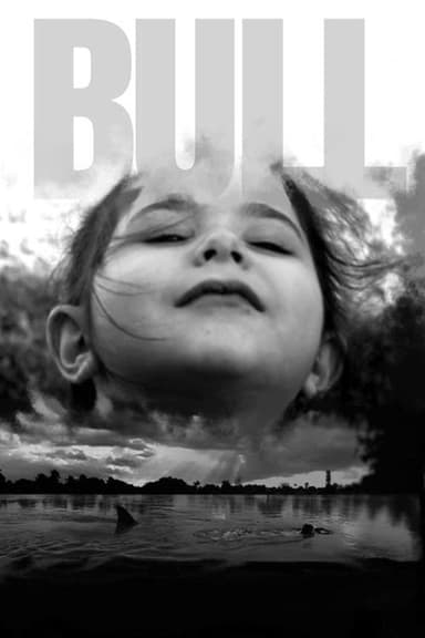 Bull poster
