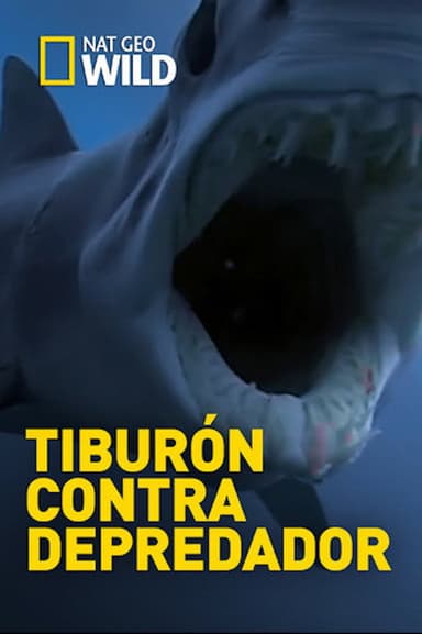 Shark Vs Predator poster