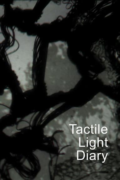 Tactile Light Diary poster