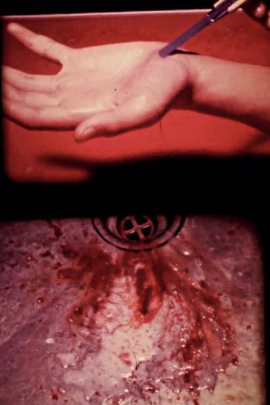 Bloody Films (Excerpts 1982-85) poster