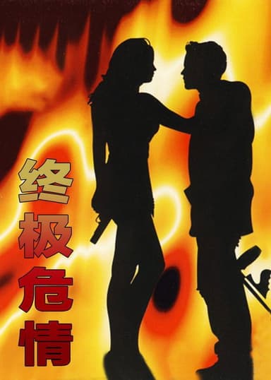 Final Target poster