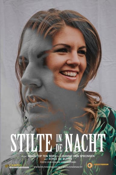 Stilte in de Nacht poster